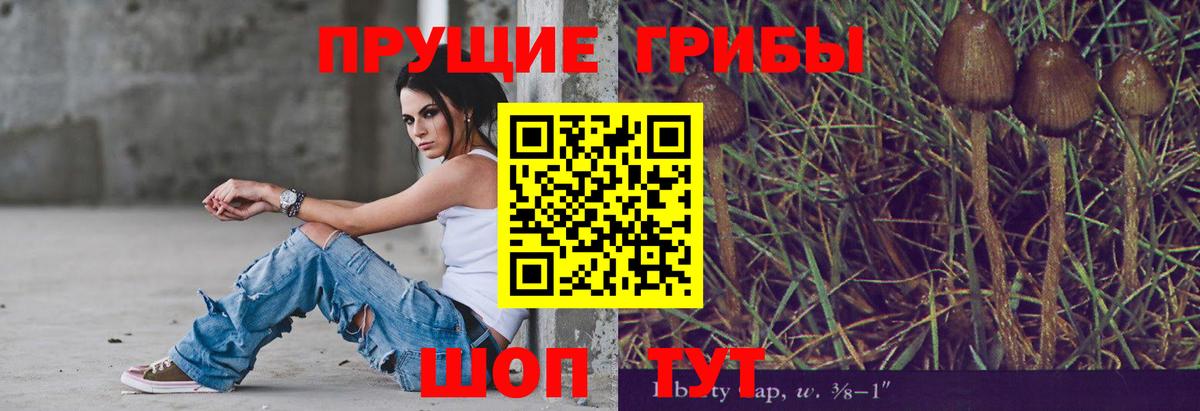 Галлюциногенные грибы Psilocybine cubensis Подольск